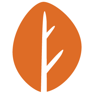 tap-verse.com favicon